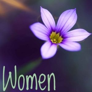 Stylish & Affordable Women's Clothing